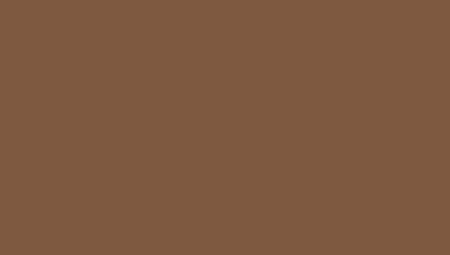 RAL- 8025 Promenel Полиуретановая грунт-эмаль (матов.), цвет бледно-коричневый